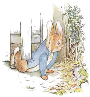 http://criminalbrief.com/wp-content/uploads/2009/09/Peter-Rabbit-4.jpg